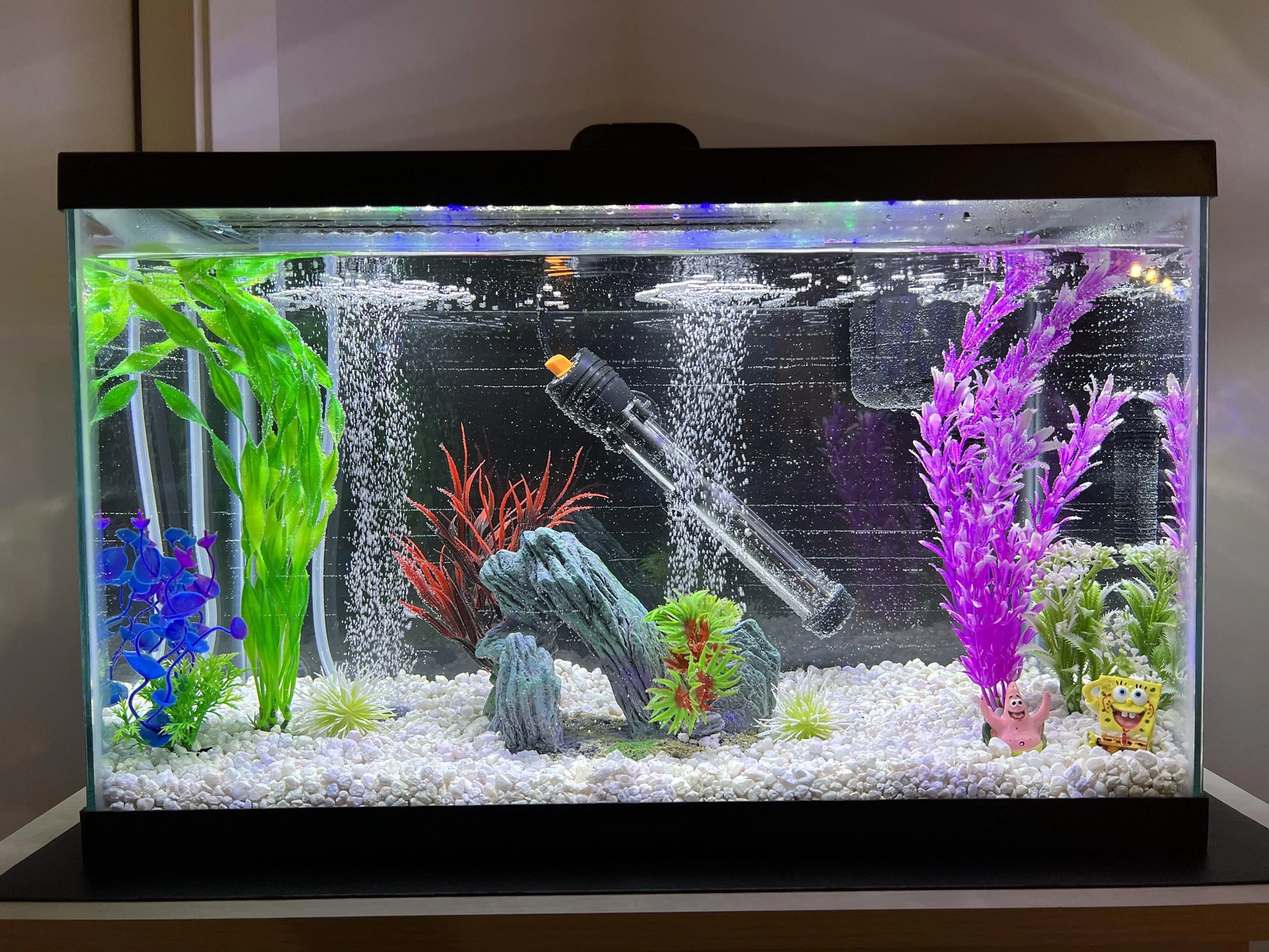 5 Essential Tips for Maintaining a Healthy Aquarium