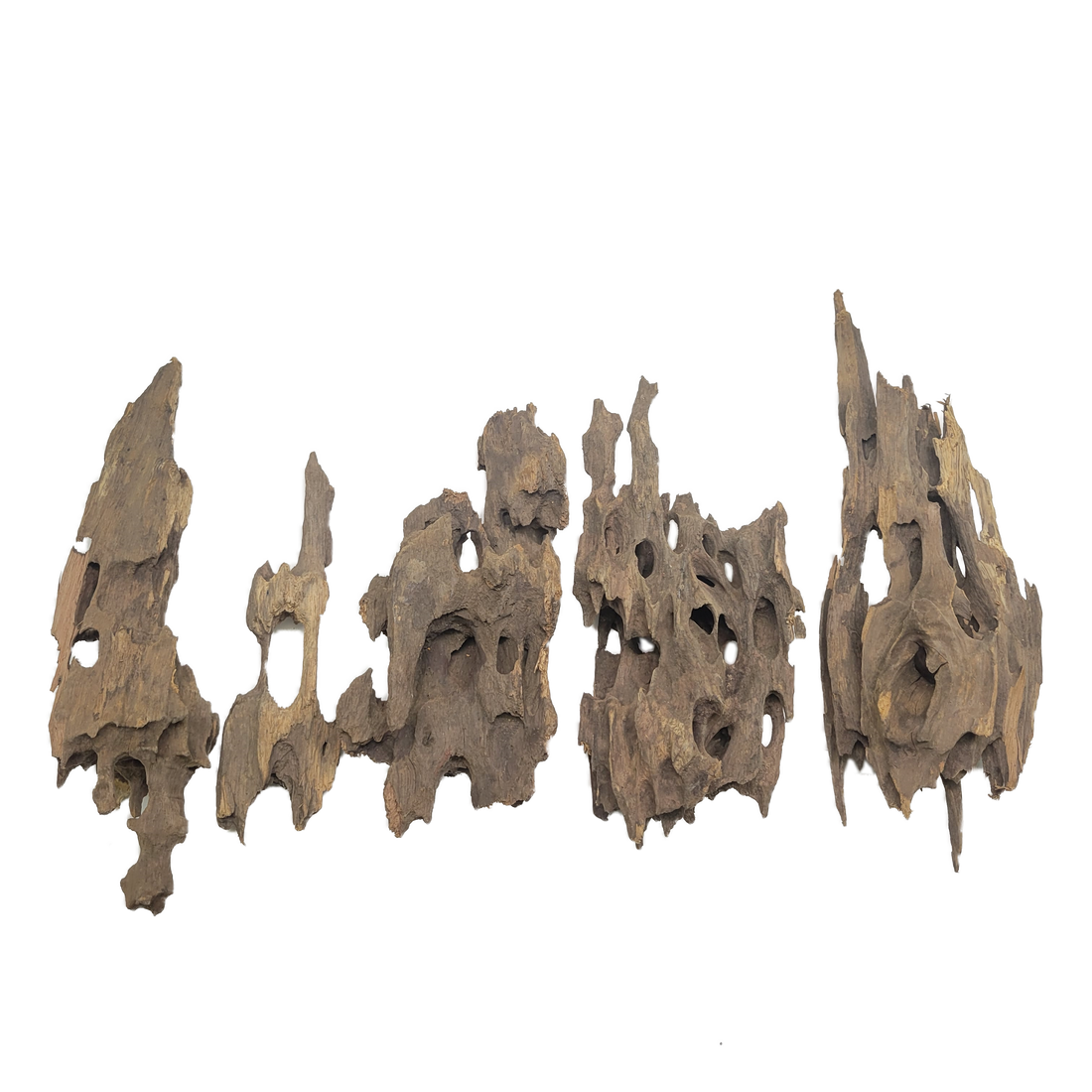 Dragon Wood Pack
