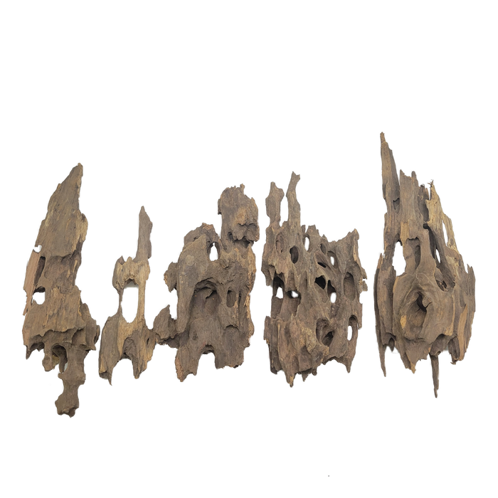 Dragon Wood Pack