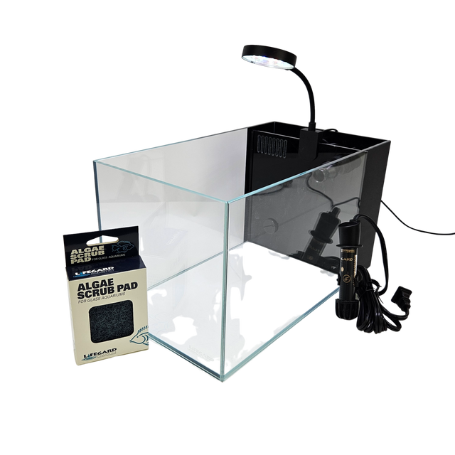 3.8 Gallon Ultra Low Iron Glass CRYSTAL Aquarium