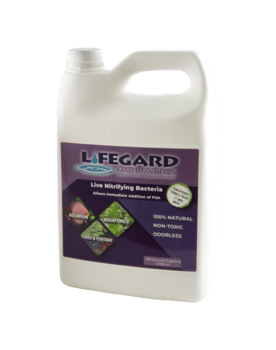 Live Nitrifying Bacteria 128 oz