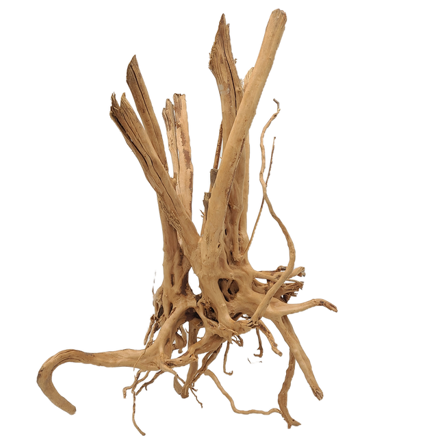 Spiderwood Tree Stump