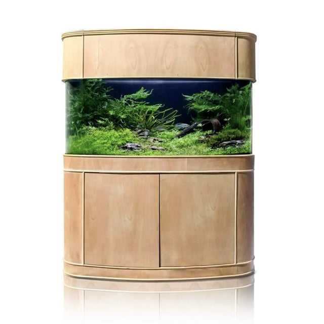 AquaVim Glass Bowfront