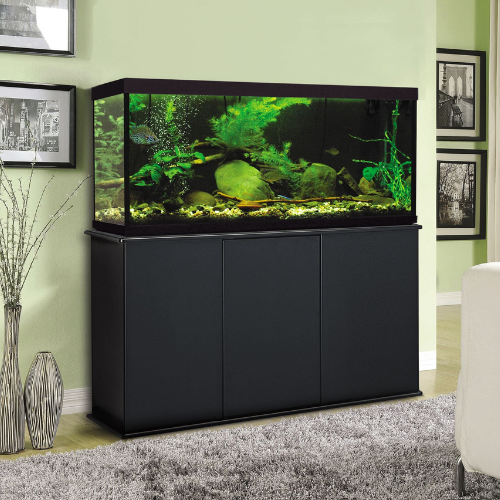 Aquarium Stands