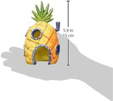 Spongebob and Pineapple House Aquarium Ornament | 2 Piece Set | Great for Fresh or Alt Water Tanks (Pack of 3)