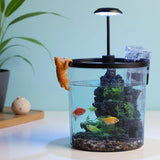 Small Fish Tank, Betta Fish Tank Kit with LED Light, Oxygen Generator, Fish Tank Starter Kits for Beta,Goldfish (Black, 1.5 Gallon)