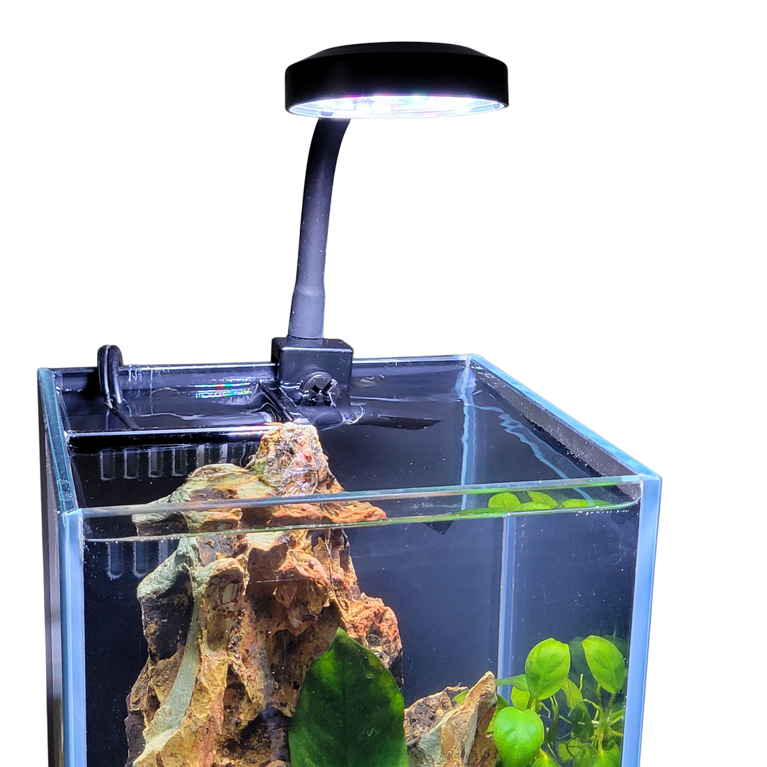Lifegard 2.5" Clip-On Full Spectrum USB LED Light with In-Line Controller