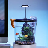 Small Fish Tank, Betta Fish Tank Kit with LED Light, Oxygen Generator, Fish Tank Starter Kits for Beta,Goldfish (Black, 1.5 Gallon)