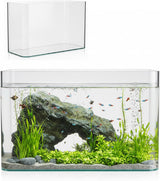 10 Gallon Ultra Clear Glass Fish Tank, Rimless Curved Edge Small Aquarium – Thermal Bending Technology, Low Iron Glass Desktop Tank for Betta, Goldfish, Shrimp & Aquatic Plants