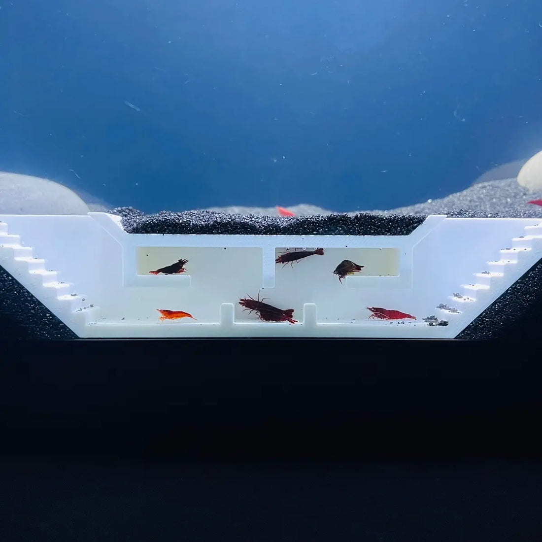 Shrimp Maze Hideout, Freshwater Shrimp Tunnel Cave, Aquarium Cherry Shrimp Hide