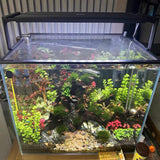 Magnetic Aquarium Lid Fish Tank Hood Top Cover Anti-Jumping Net Cover Mesh to Protect Fishs Jumping Out of Fishes Tank Hoods