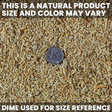 Freeze-Dried Mysis Shrimp - Premium Fish Food, Tropical Fish Food, Shrimp Food - Ideal for Freshwater and Saltwater Fish, Cichlids, Angels, Seahorses - 0.49 Oz (14G)