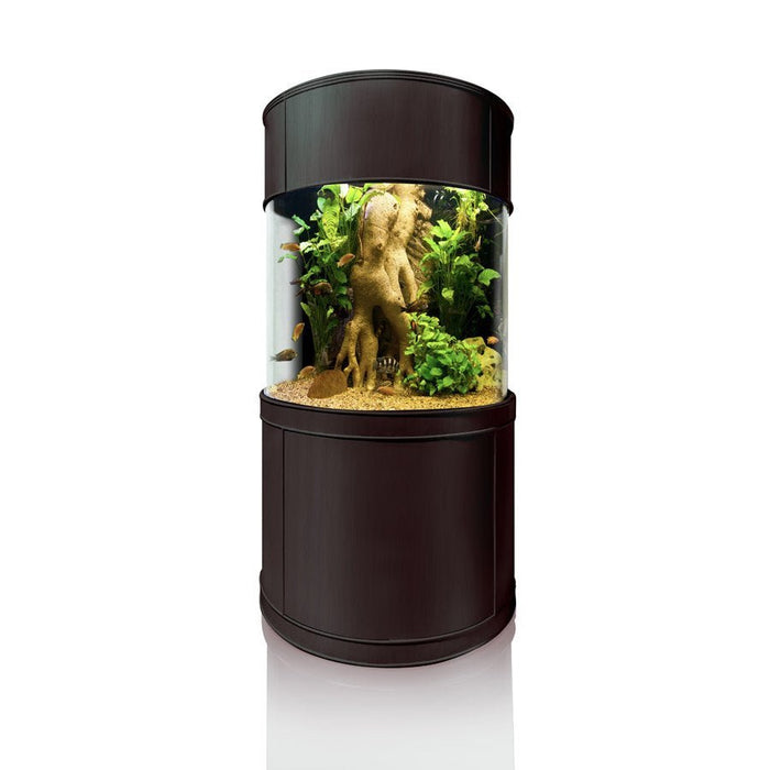 AquaVim Glass 3/4 Cylinder