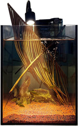 Betta Fish Tank Kit,Small Nano Glass Fish Tank Start Kit with Filter,Led Light for Shrimp,Small Fish,Betta (1.5 Gallon)