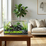 10 Gallon Ultra Clear Glass Fish Tank, Rimless Curved Edge Small Aquarium – Thermal Bending Technology, Low Iron Glass Desktop Tank for Betta, Goldfish, Shrimp & Aquatic Plants