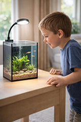 Mini Aquarium Set Fish Tank Shrimp Tank Snails Tank Planted Tank 1.2 Gallon Aquarium Kit, Small Desktop Fish Tank for Small Aquatic Pets for Beginner