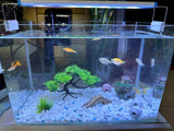 Small Japanese Fish Tank Decorations Set, Suitable for Aquariums up to 5 Gallon or Fish Bowl, Includes Small Decorations Artificial Plastic Plants Fish Tank House
