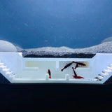 Shrimp Maze Hideout, Freshwater Shrimp Tunnel Cave, Aquarium Cherry Shrimp Hide