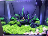 Large Fish Tank Decorations, Mountain View Aquarium Ornament with Tree House Cave Bridge Artificial Plastic Plants Aquarium Decorations