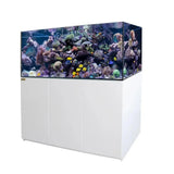 144 Gallon Aquarium with Stand, Ultra Clear Low Iron Rimless Glass Fish Tank, 41G Coral Sump Filtration System, Matte Cabinet, Plumbing Kit, Large Reef Tank for Saltwater & Freshwater Aquascaping