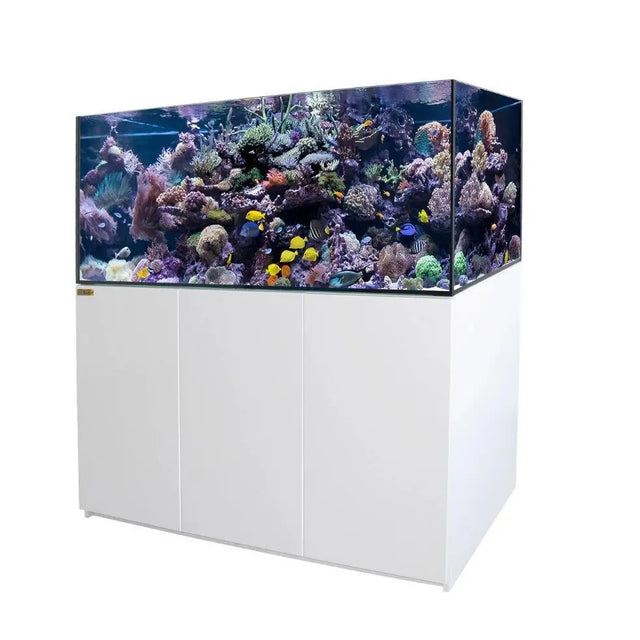 144 Gallon Aquarium with Stand, Ultra Clear Low Iron Rimless Glass Fish Tank, 41G Coral Sump Filtration System, Matte Cabinet, Plumbing Kit, Large Reef Tank for Saltwater & Freshwater Aquascaping