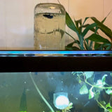 Inverted Aquarium Holder / Betta Penthouse for Wide Mouth Jars