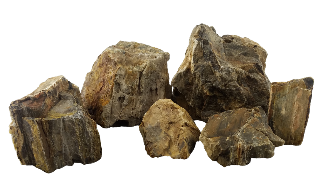 Canyon Petrified Stone - 44 Lbs box of LARGE size stones