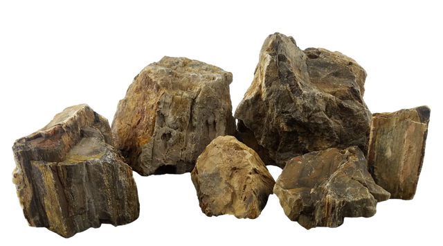 Canyon Petrified Stone - 44 Lbs box of LARGE size stones