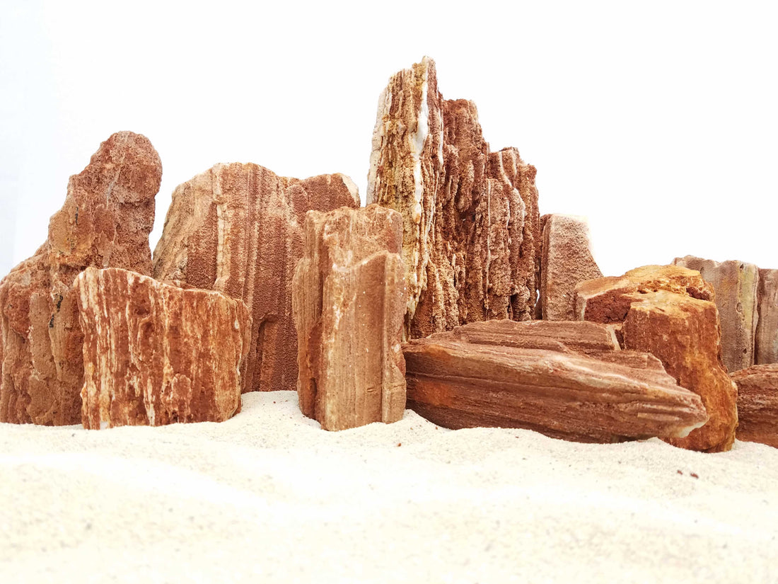Redwood Petrified Stone 10 Gallon Kit-Approximately 3-Medium/6-Small Rocks