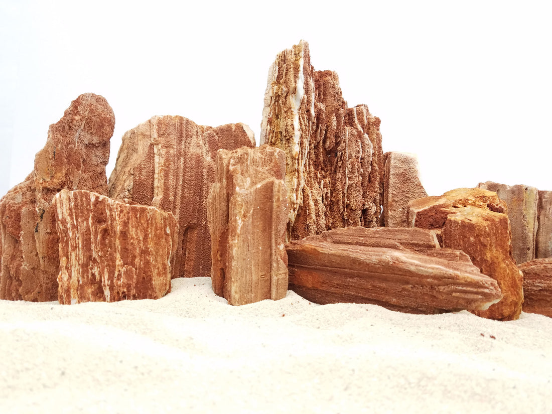 Red Wood Petrified Stonee - 44 Lbs box of MIX SIZE size stones