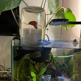 Aquarium Inverted Tank Holder / Betta Penthouse