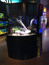 AquaVim Glass Corner