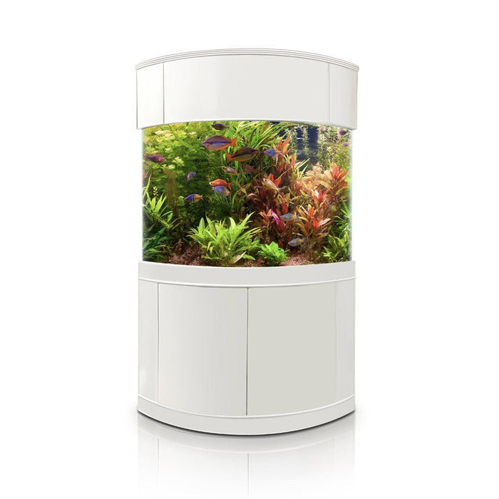 AquaVim Glass Corner