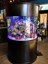 AquaVim Glass Full Cylinder