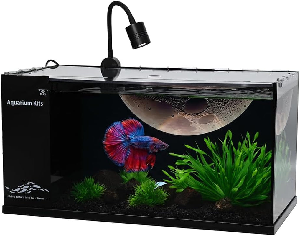 Fish Tank Kit,3.5 Gallon Small Aquarium,Ultra-Clear Nano Aquarium,Betta Fish Tank,Suitable for Small Fish Tank,Aquarium Starter Kit,Desktop Fish Tank (Planet Background)