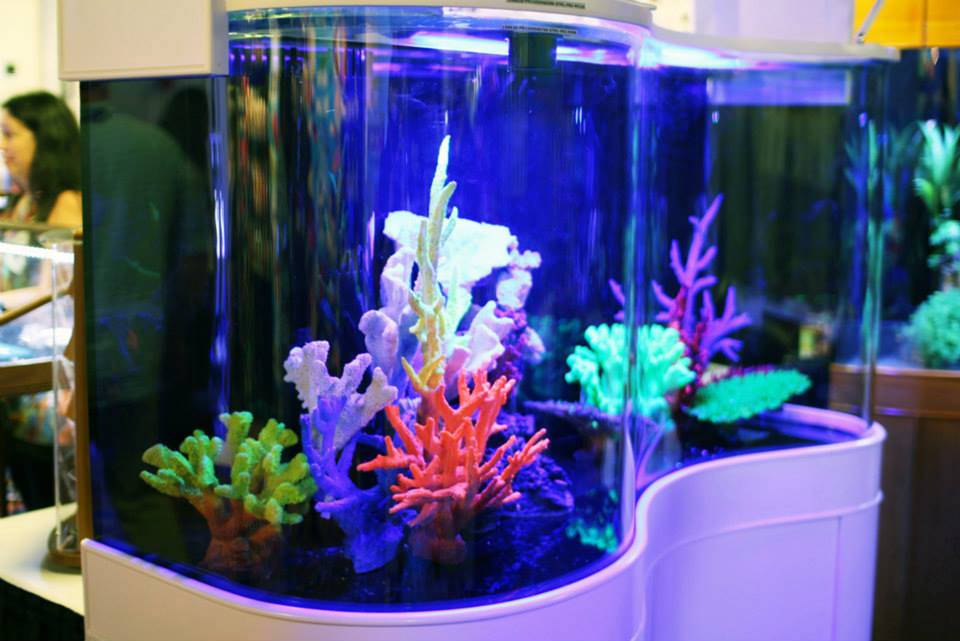 AquaVim Glass Seamless Wave